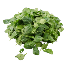 Spinazie